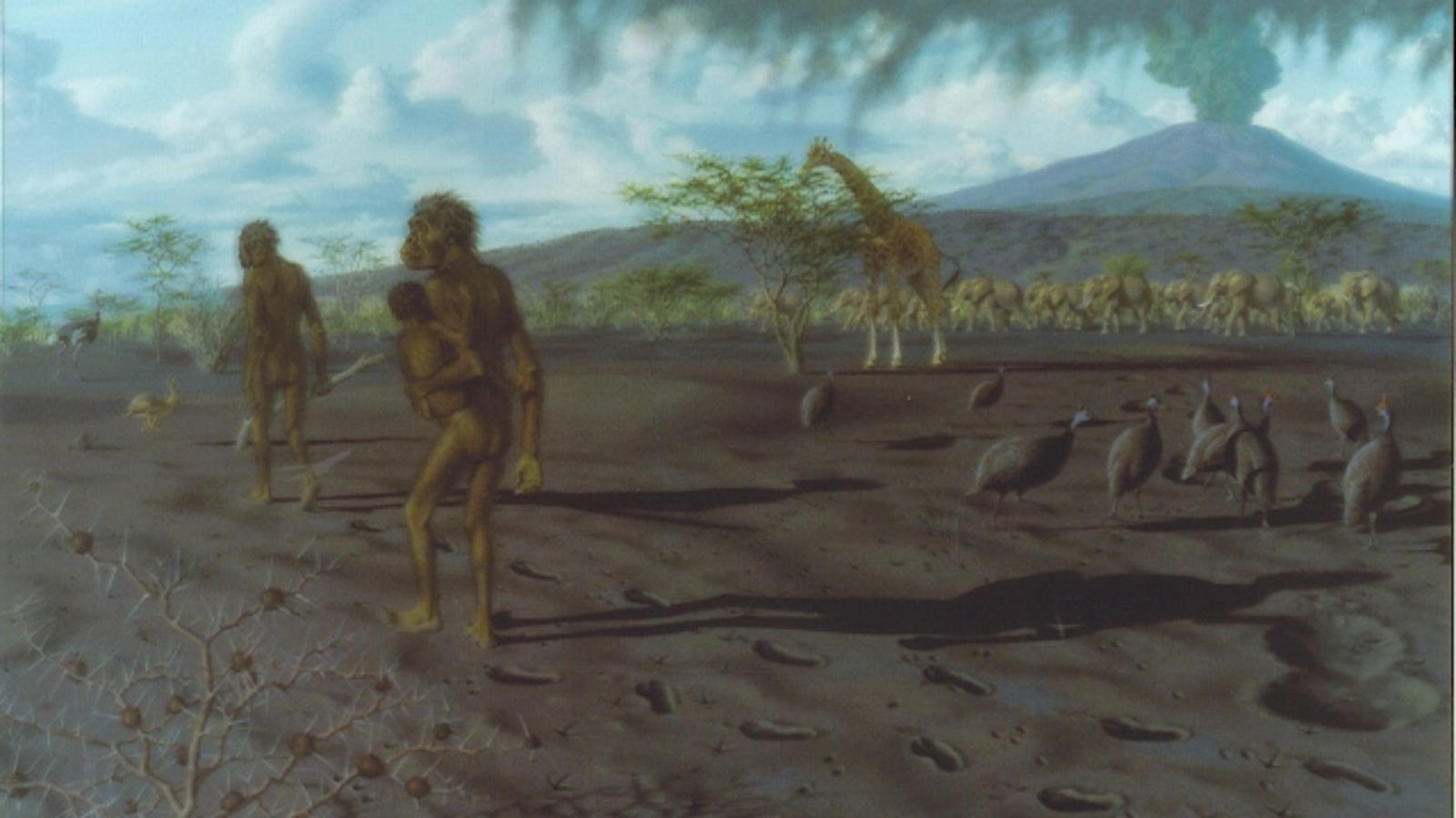 Our hominid ancestors were walking like us nearly 4 million years ago