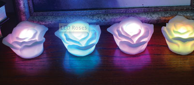 Illustration for article titled LED Roses Never Wilt