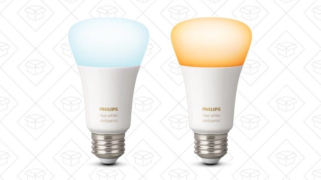 Enjoy Every Shade of White With These Discounted Hue Bulbs
