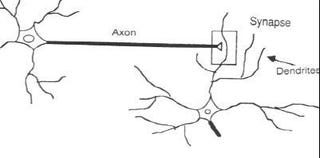 How to build a brain with neural networks