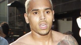 Illustration for article titled Single-Minded: Memo to Chris Brown