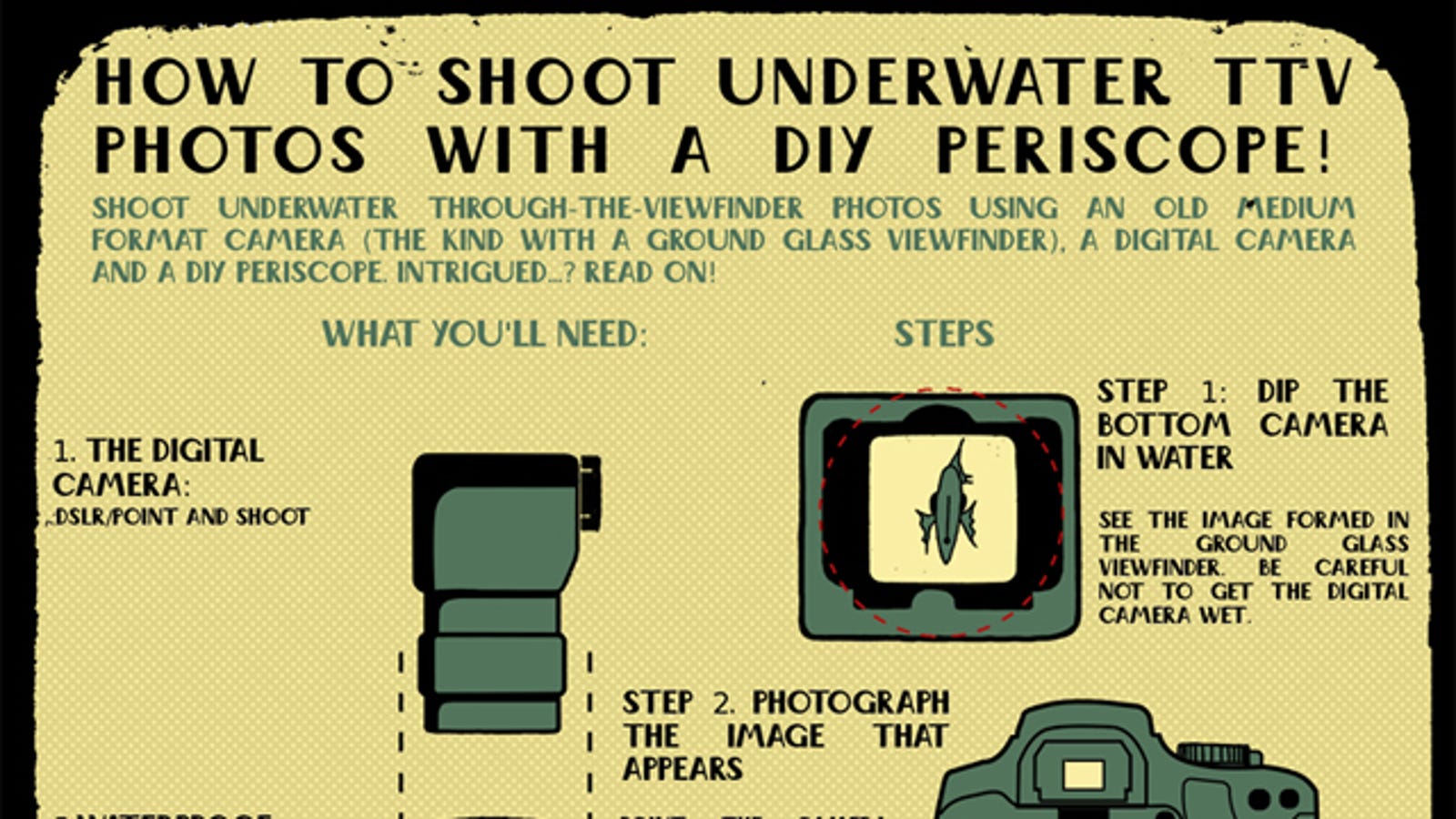 How to Shoot Underwater Photos Using a Vintage Film Camera