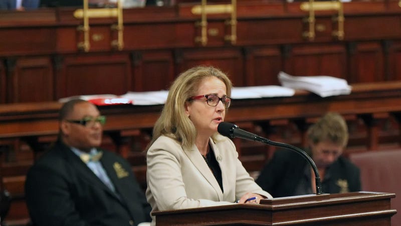 Rep. Madeleine Dean, D-Montgomery, addresses her colleagues, as they debate the budget on the floor of the House of Representatives at the Pennsylvania State Capitol in Harrisburg Tuesday June 30, 2015.