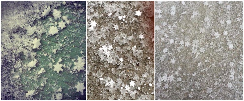 Illustration for article titled With the Blizzard Comes These Star-Shaped Snowflakes