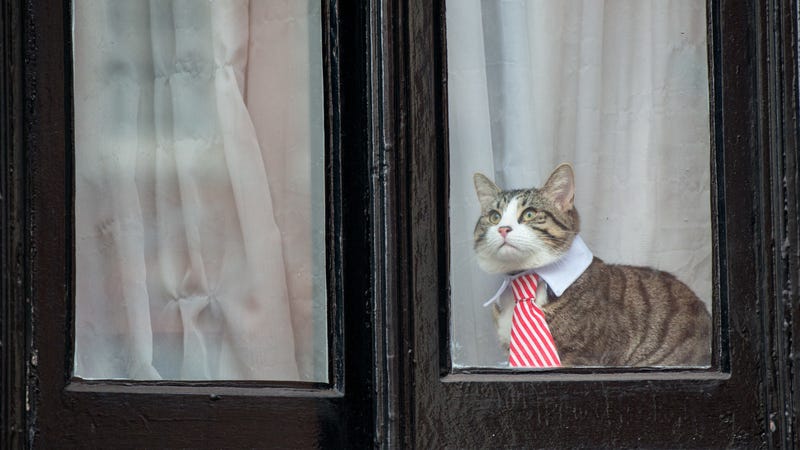 Photo: Getty