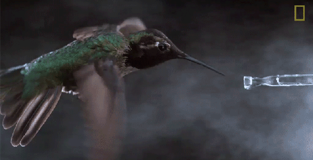 Incredible Slo-Mo Footage