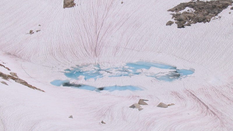 ‘Watermelon snow’ is a common sight in Alpine glaciers in the late spring and summer. Image: Wikimedia