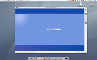 is it a good idea to run windows programs on mac
