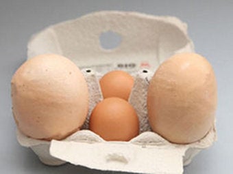 Illustration for article titled Hen Beats Own Recent "World's-Largest-Egg" Record