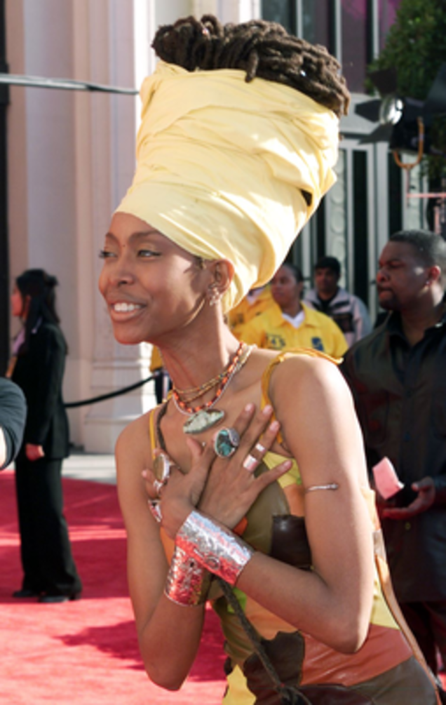 Erykah Badu (Vince Bucci/AFP/Getty Images)