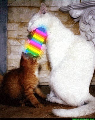 Illustration for article titled My cat puked on my boyfriend's head
