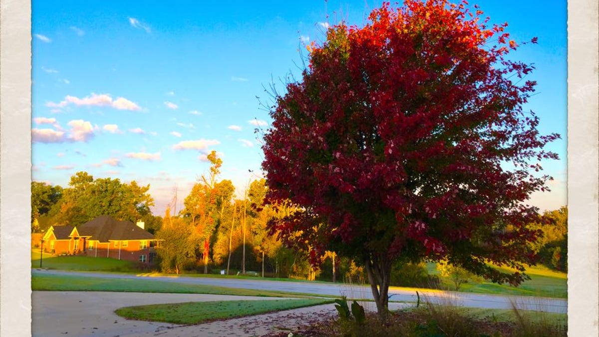 76 Stunning Photos Of Fall Leaves