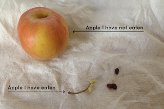 Illustration for article titled How do you eat apples?