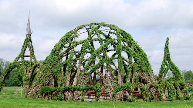 Behold These Incredible Works Of Architecture Made Out Of Living Trees