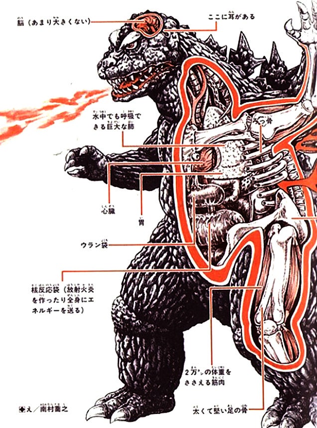 Cool Drawings Show The Anatomy Of Godzilla And All His Friends And Foes 云聚网