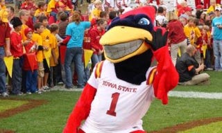 Illustration for article titled Here's UConn's Official Statement About The Iowa State Mascot Fiasco