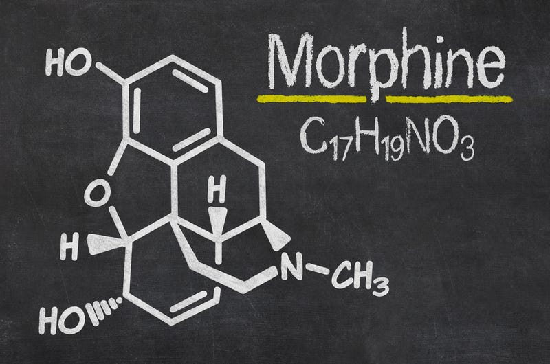 Resultado de imagen para formula de la morfina