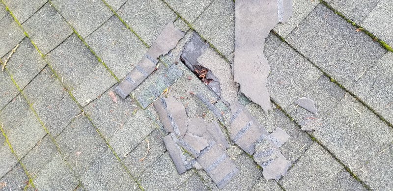 Illustration for article titled I inspected a roof today, because I apparently do that now