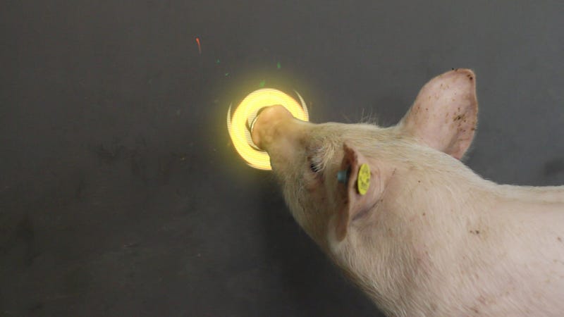 Illustration for article titled A Video Game That Helps People Forge Stronger Relationships...With Pigs