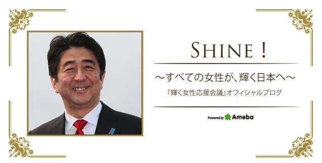 shine-meaning-japanese-kundenbefragung-fragebogen-muster