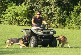 Illustration for article titled Jon Gosselin Gets Rid Of Family Dogs; Chris Brown Begins Community Service