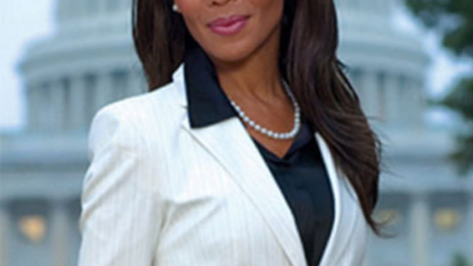 Illustration for article titled GALLERY: Black Republicans Running for Congress