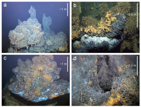 Four of the eight active hydrothermal events explored at Longqi. (Image: J. T. Copley et al.,2016)