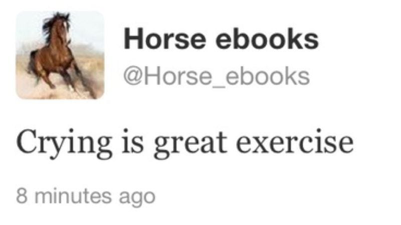 Illustration for article titled Everything on the Internet is a lie: @Horse_ebooks was a "conceptual art" piece all along