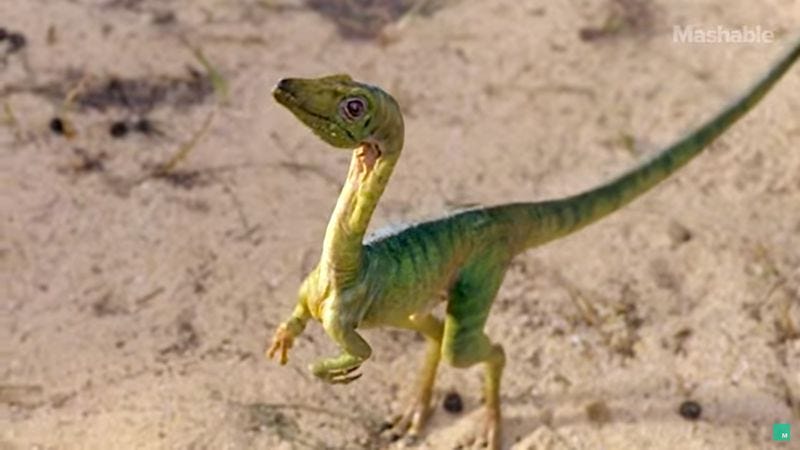 compsognathus dino defender