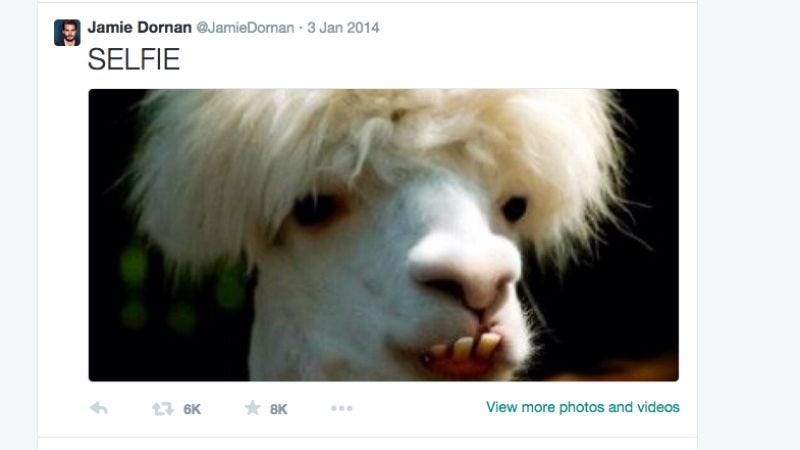 Illustration for article titled Read This: A look at the people obsessed with Jamie Dornan’s boring Twitter