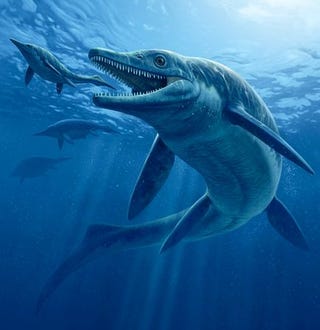 This massive Triassic Era sea monster picked on prey its own size