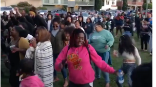 Black Oakland Electric Slides on Racism by Throwing Big Ass Cookout in Park Where White Lady Called Cops<em>