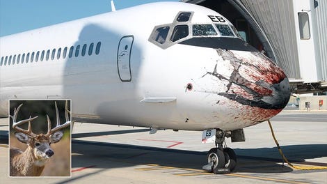 PR Disaster: United Airlines Has Apologized To A Passenger After The Bomb In His Suitcase Was 