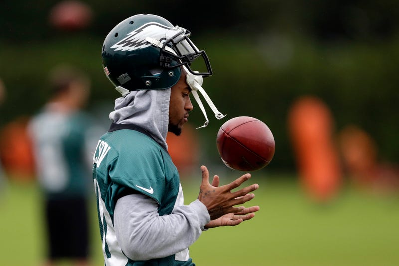 Illustration for article titled Two Former Players Have DeSean Jackson's Back
