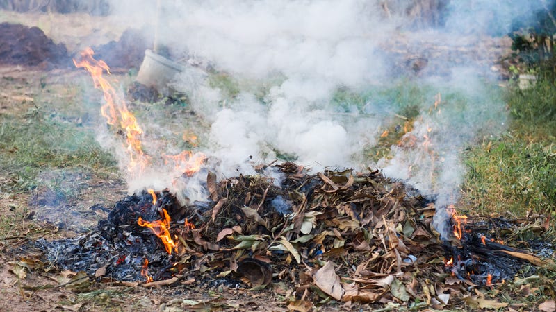 Illustration for article titled Florida man burns pile of weed in yard