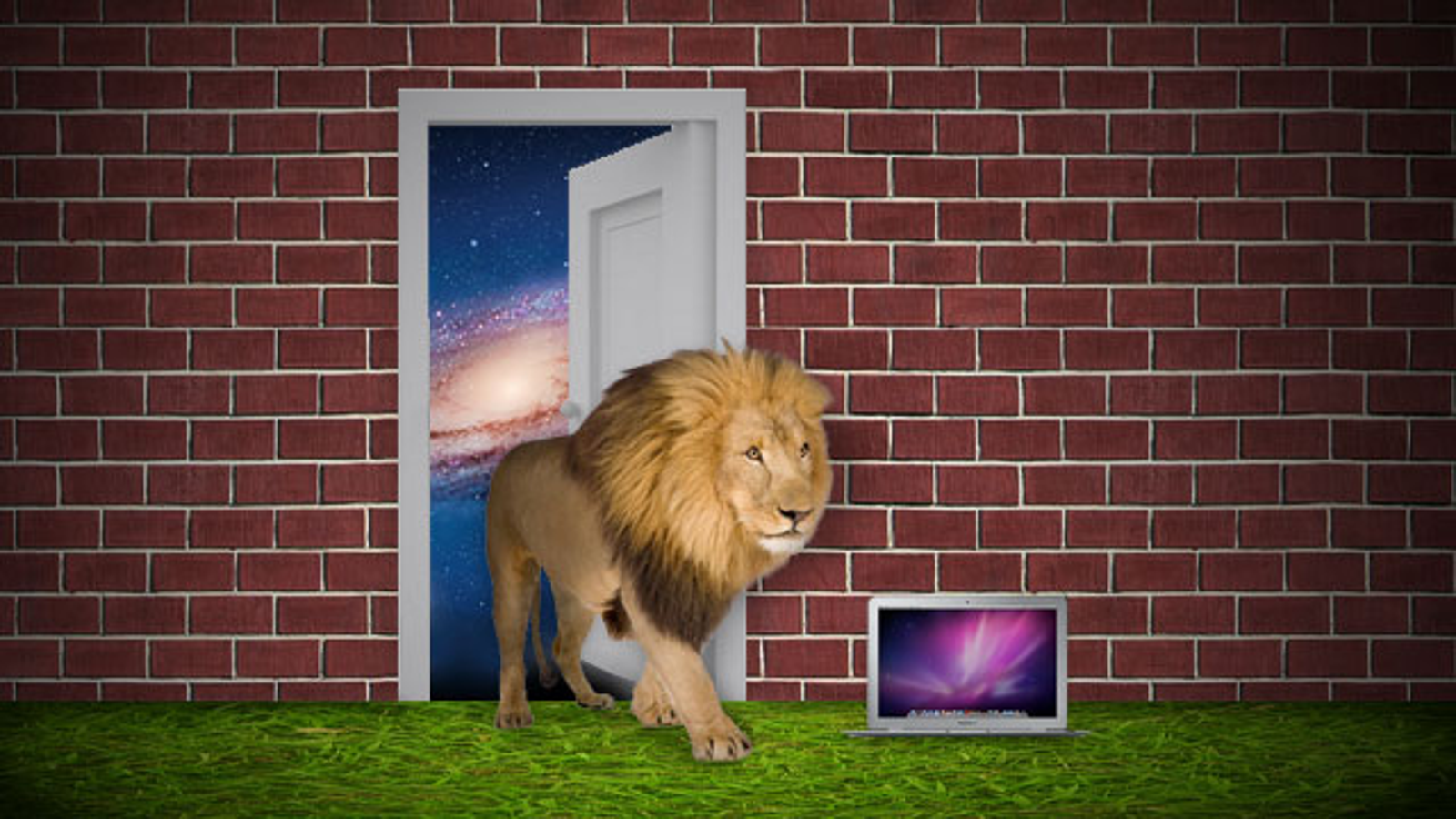 os x lion mac