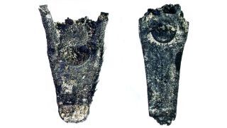 Remarkable Discovery Could Push Back Human Agriculture by 11,000 Years