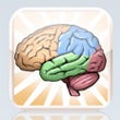 Illustration for article titled Brain Exercise with Dr. Kawashima