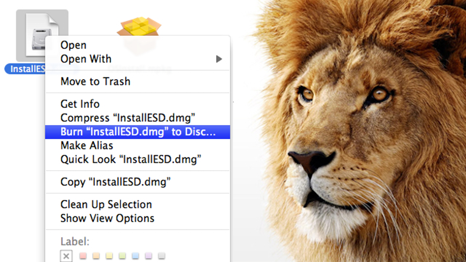 app to copy dvd on mac