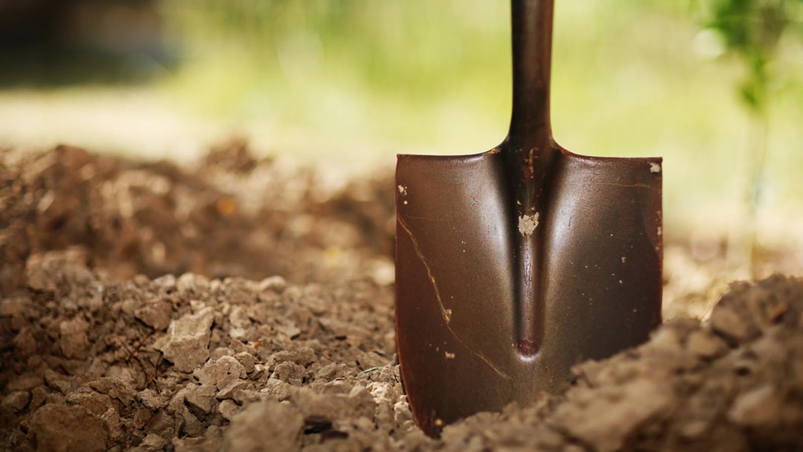 The 8 Types of Shovels Everyone Should Know