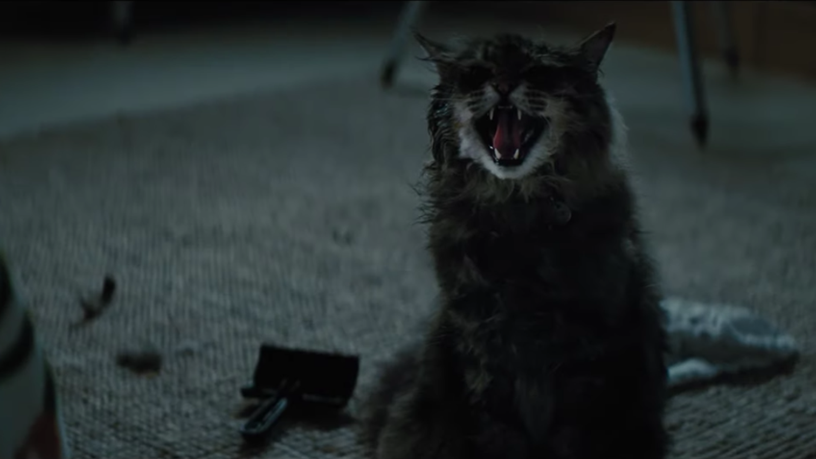 Pet Sematary 2019 Wallpaper