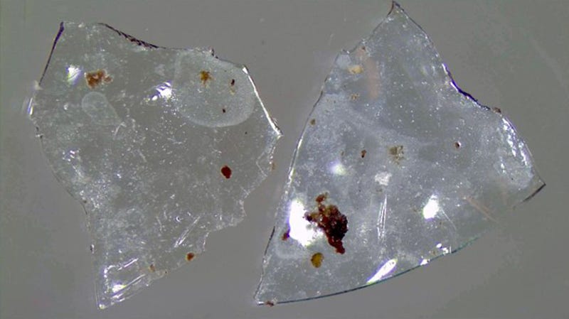Fragmentos de lente de contacto recuperados del sistema de tratamiento de aguas.