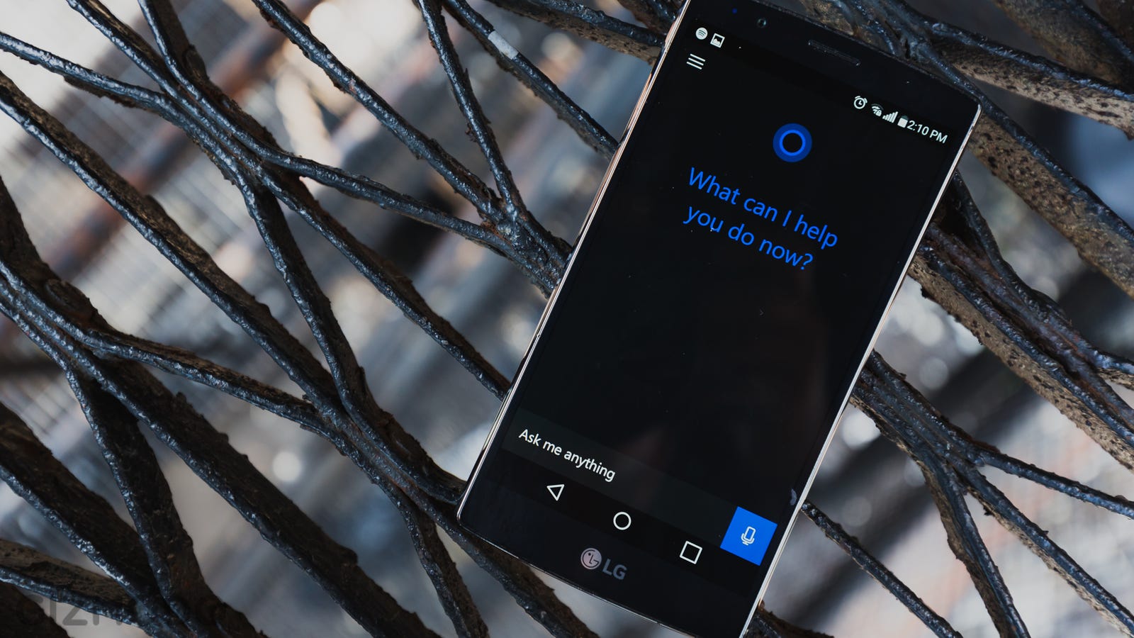 Cortana, asistente de voz de Microsoft, estará disponible para iOS y Android