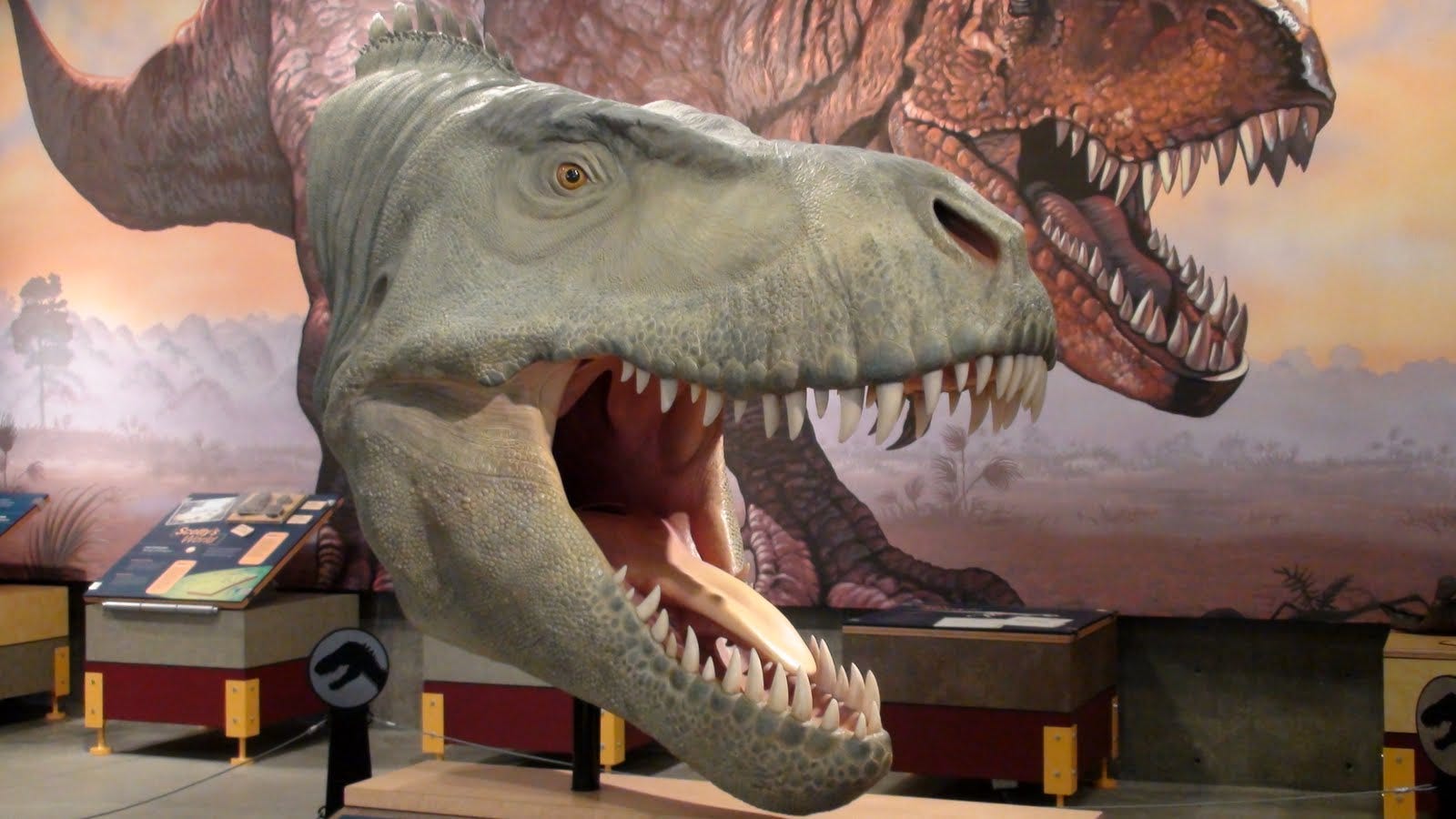 the truth about t rex