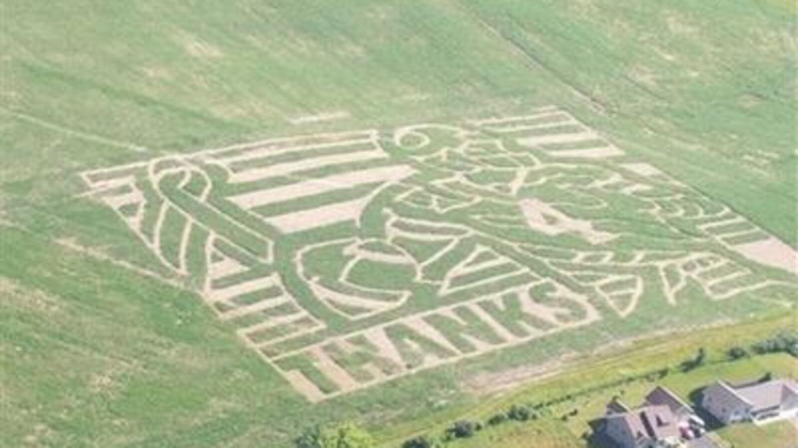 I Can Think Of No Better Metaphor For The Favre Situation