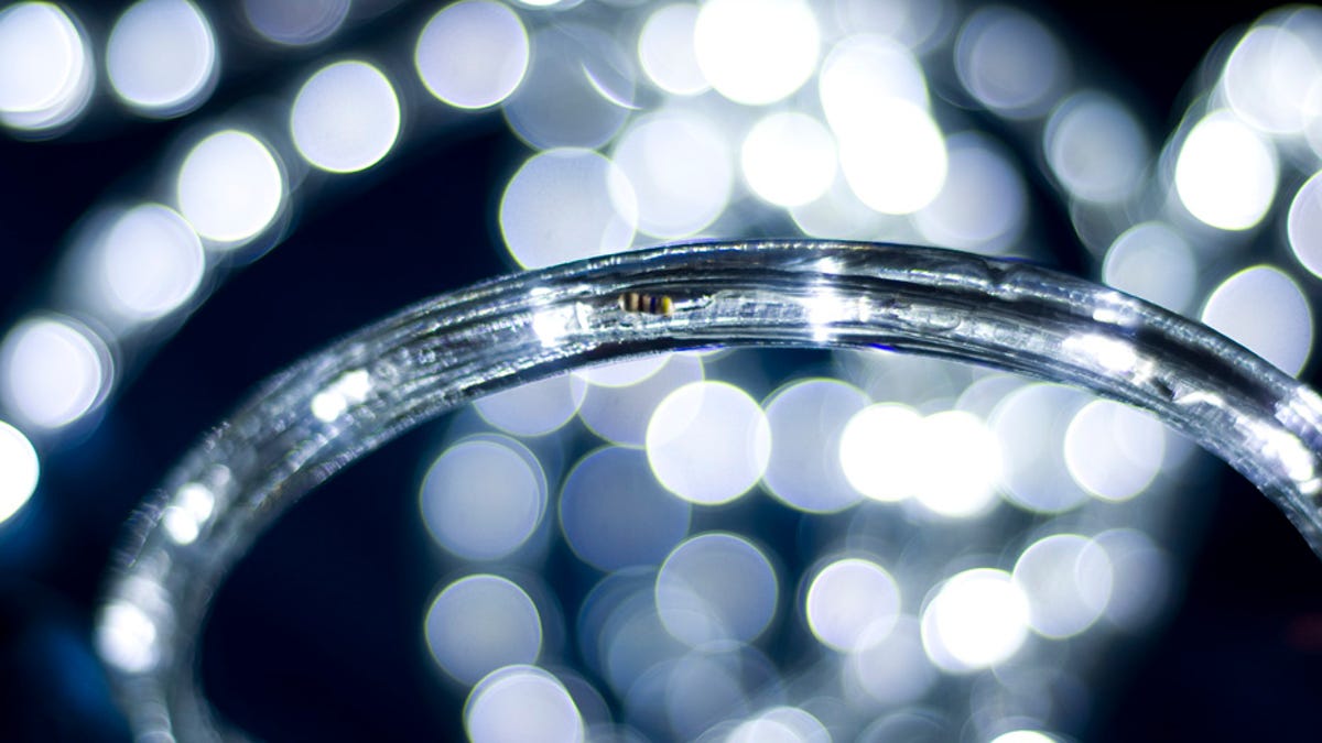 Shooting Challenge Bokeh Gallery 4