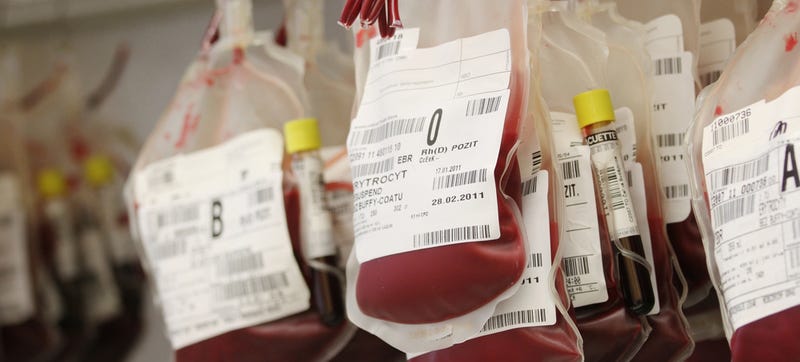 Illustration for article titled The FDA Blew Its Chance to End the Ridiculous Ban on Gay Blood Donation