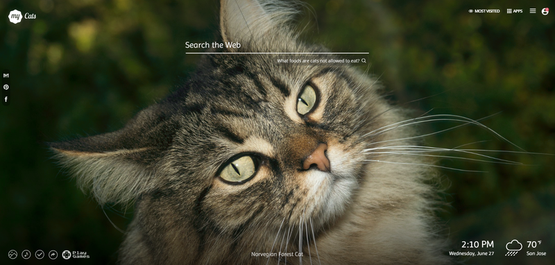 Let Your Browser Tabs Cheer You Up With Puppies And Kittens Lifehacker Uk