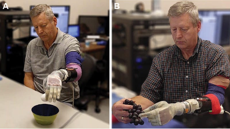 Keven Walgamott using the LUKE to hold and move an egg (left) and pick grapes (right). 