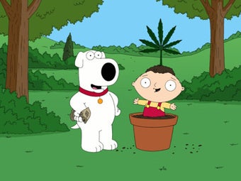 Illustration for article titled Venezuela Doesn't Think "Everything's Better With A Bag Of Weed"